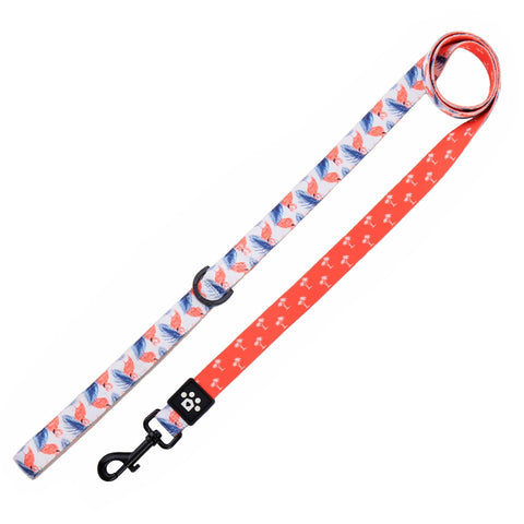Classic Collar - Aruba