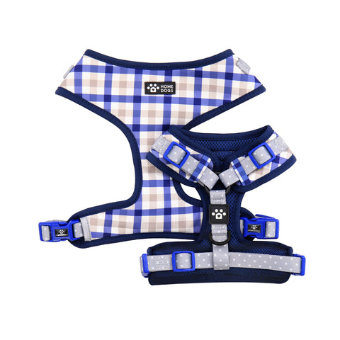 Martingale Collar - Pawfect Plaid