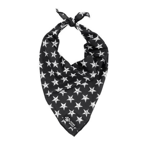 The Flip Side Leash - All Star