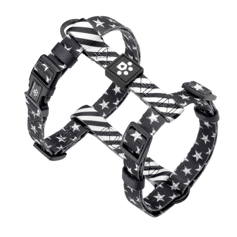 The Flip Side Leash - All Star