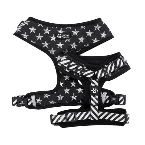 The Flip Side Leash - All Star